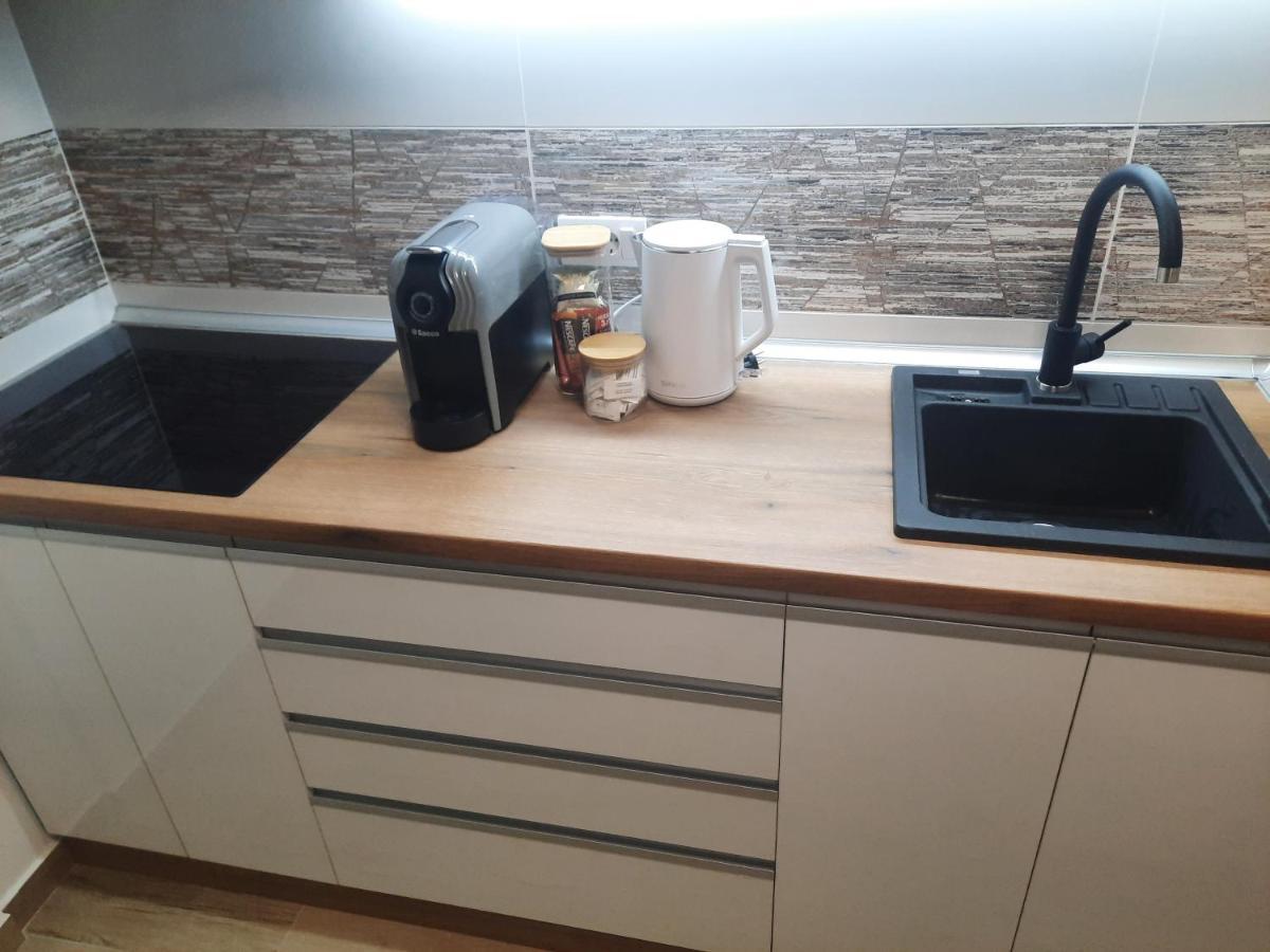 Apartman Lux-Besplatno Koriscenje Zasebne Garaze สเรมสกา มิโตรวิตซา ภายนอก รูปภาพ